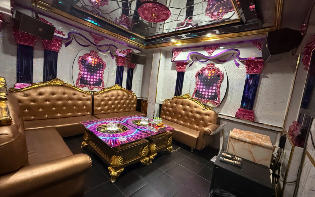 vip 6